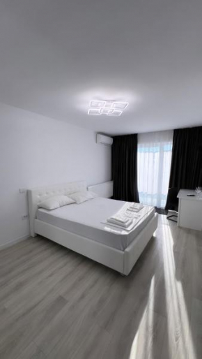 Iași Poitier Towers Flat Iasi